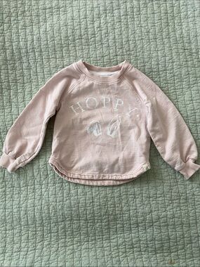 Burts Bees Baby - girls Easter, Spring, Hoppy organic cotton Sweatshirt